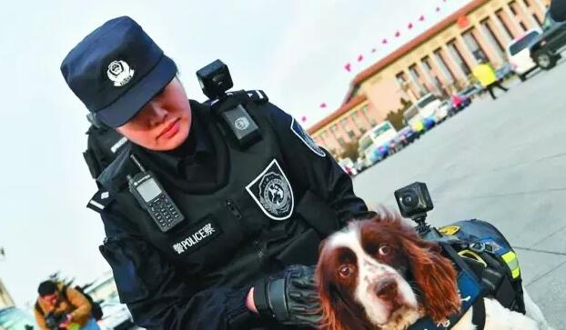 兩會期間警犬配VR 兩會期間警犬配VR