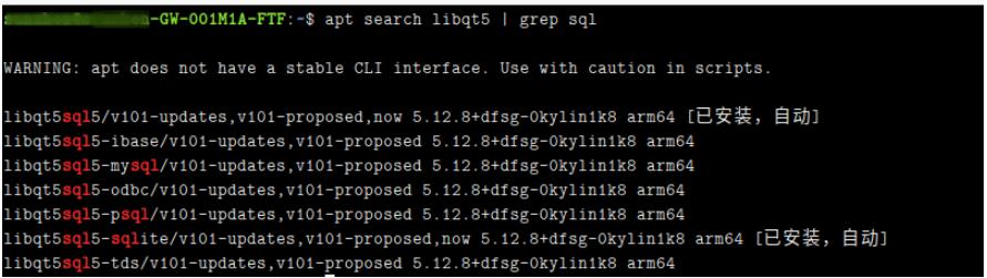 Kylin麒麟國產(chǎn)系統(tǒng) V10 SP1下身份證閱讀器Qt應(yīng)用程序開發(fā)環(huán)境配置 Kylin麒麟國產(chǎn)系統(tǒng) V10 SP1下身份證閱讀器Qt應(yīng)用程序開發(fā)環(huán)境配置